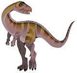 Carnivorous dinosaur Allosaurus