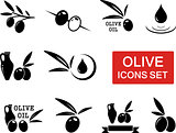 olive icons set with red signboard