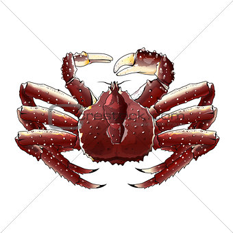 King Crab, Isolated Illustration