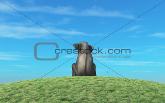 Elephant sits atop a hill 