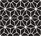 Vector Seamless Black and White Lace Floral Pattern