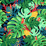 Beautiful pattern leaves monstera and frogs 
