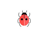 Graphic icon ladybird