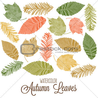 Set of watercolor colorful autumn leaves