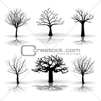 A set of tree