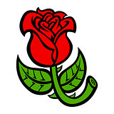 Rose Flower vector illustration