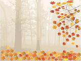 Autumn Leaves and forest - vector illustration