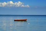 One boat, one seagull and one cloud