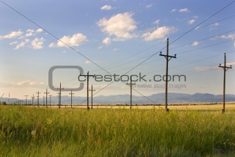 Electric Posts in a Field - Helena
