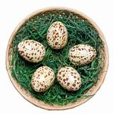 Basket with eggs.