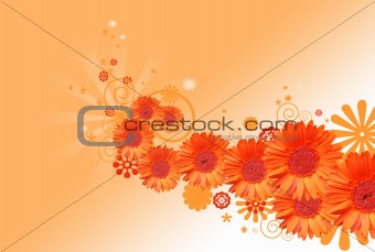 gerber daisy abstract background