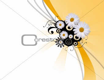 daisy abstract background