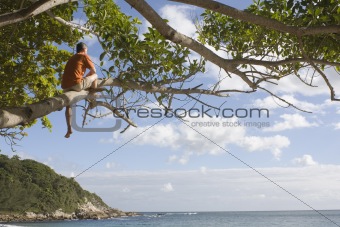 Man in a tree at the beach