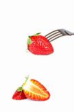 The fork pricking the strawberry