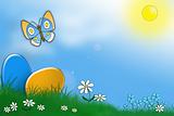 Eggs, grass, butterfly and blue sky