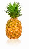 Ripen Pineapple
