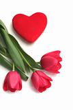 Red tulips and red heart on a white background