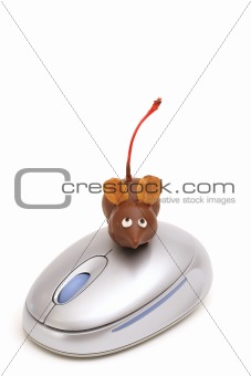 shot of a single chocolate mice on mouse vertical