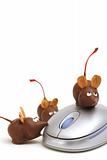 shot of a chocolate mice on a mouse vertical