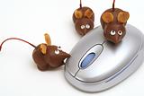 shot of 3 chocolate mice & mouse 