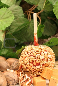 shot of a single caramel apple with ingredients vertical