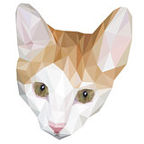 Head of cat low polygon with green eyes