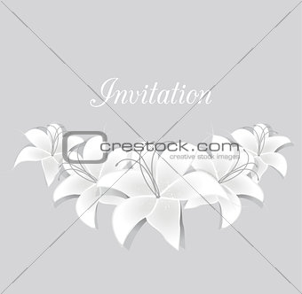 Vector White lilies