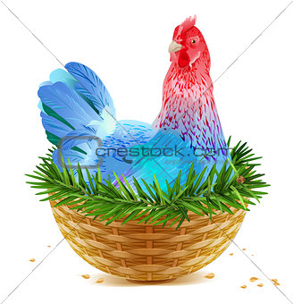 Blue Christmas chicken laying hen symbol of 2017 sits in basket nest on spruce branch