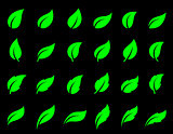 set of green leaf icons