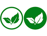 two green leaves icons