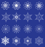 vector snowflakes set