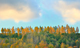mountain autumn landscape 
