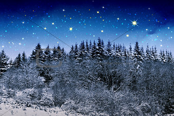 Beautiful night winter landscape in the mountains with the stars.