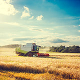 Combine Harvester on a Wheat Field. Agriculture.
