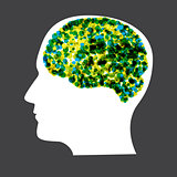 Human Brain Concept Vector Illustration