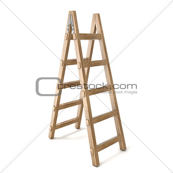 Vertical wooden ladder. 3D