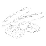 Hand drawing illustration of different breads . Isolated sketch bread