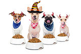 halloween  devil dogs hungry for food