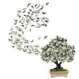 Money tree with dollar banknotes