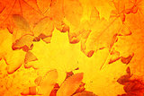 Grunge fall background with old paper texture