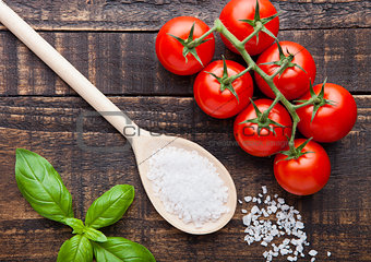 Fresh tomatoes with basil and spoon with salt on grunge board