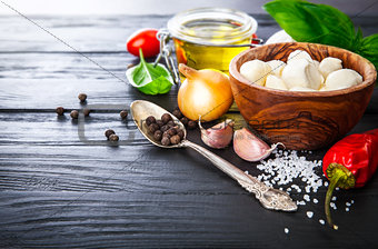 Vegetables and spices ingredient for cooking italian food