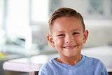 Head And Shoulders Portrait Of Smiling Hispanic Boy At Home