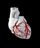 Illustraton Anatomy of Human Heart - Isolated on black