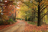 Country road meandering through trees with autumn foliage