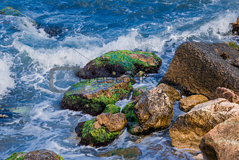 sea waves and rocks covered with algae