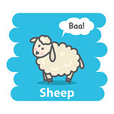 Sheep vector illustration