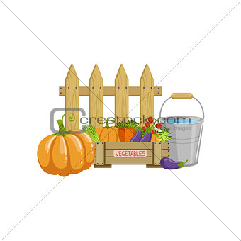 Crate Of Vegetables, Bucket With Water And A Fence