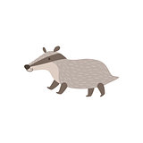 Grey Badger Walking