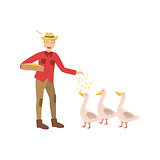 Man Feeding Three Geese With Seeds